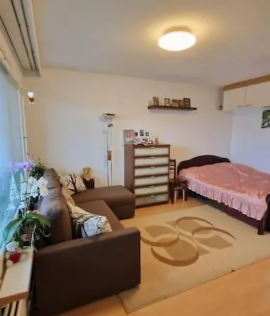 Yksioe Lahden Paavolan Parhaalta Paikalta Lahti